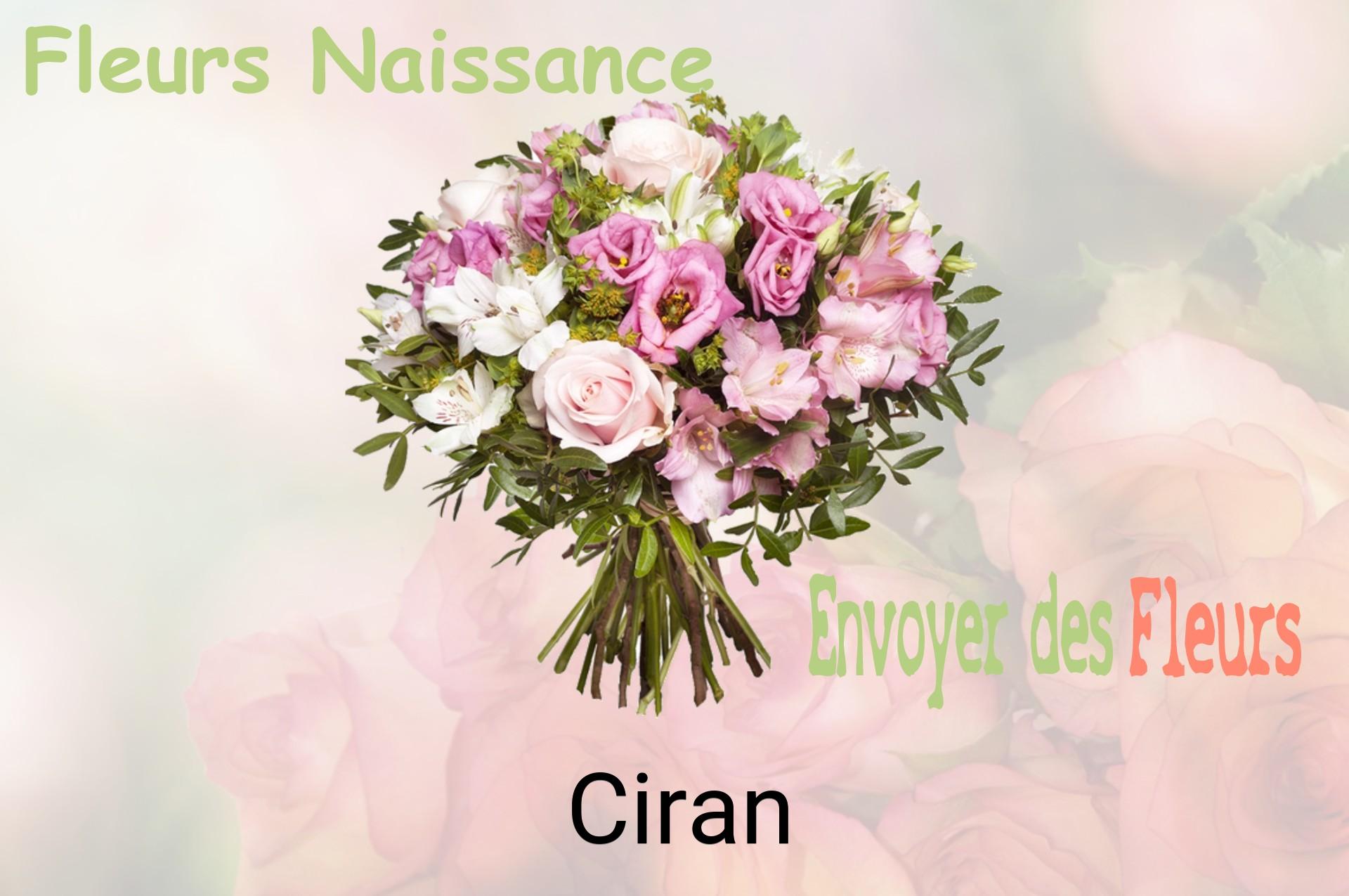 Bouquet de fleurs de naissance livré à Ciran