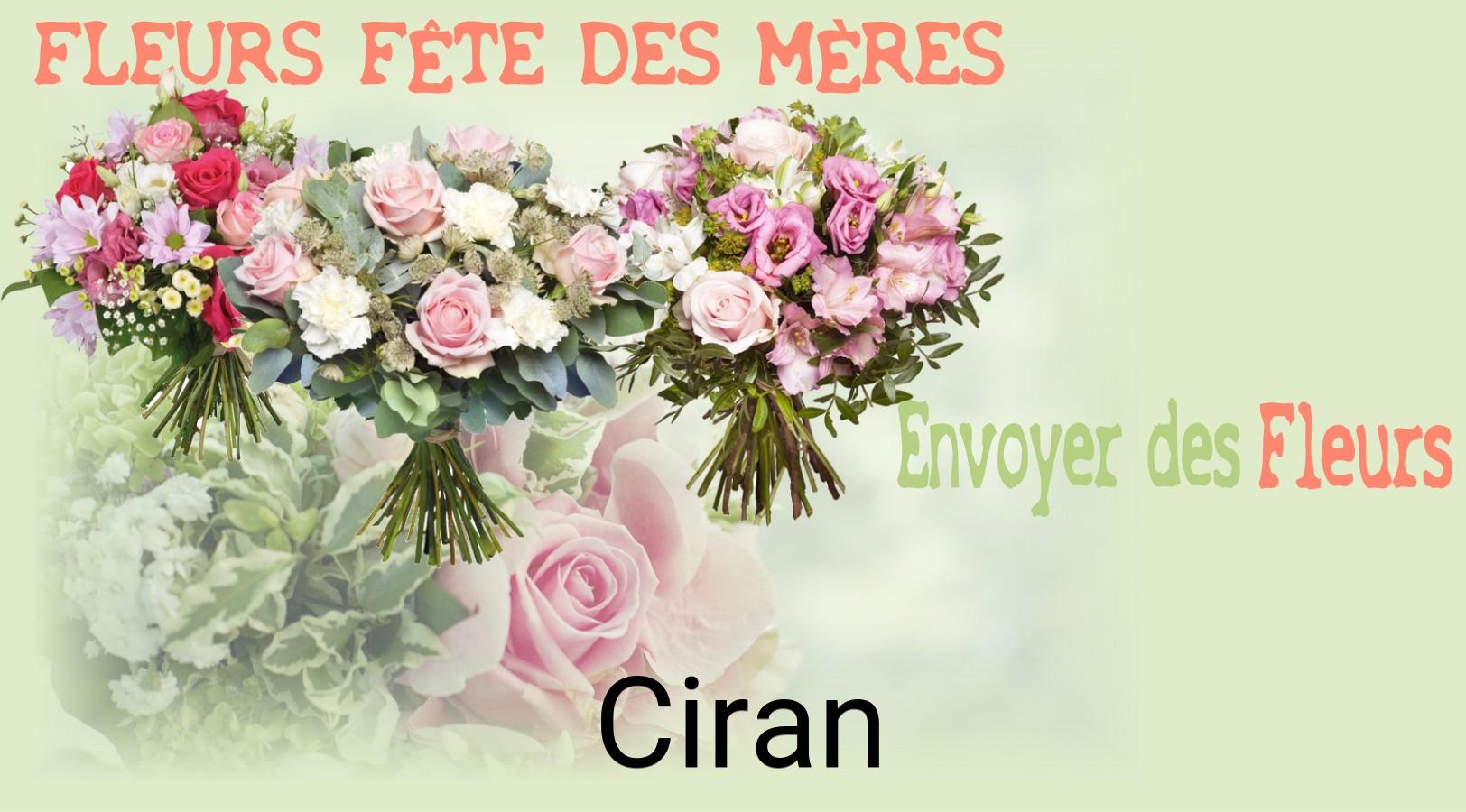 Bouquet de Fête des Mères livré à Ciran